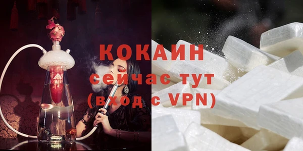 твердый Арсеньев