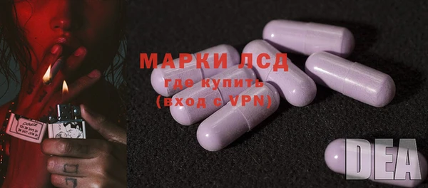 ешки Аркадак