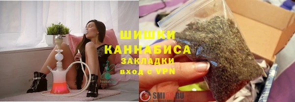 твердый Арсеньев