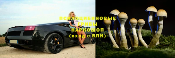 ешки Аркадак