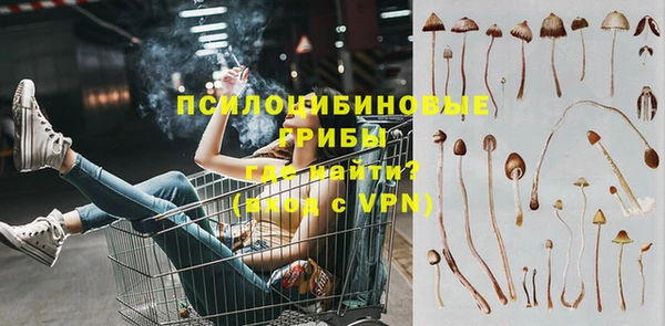 твердый Арсеньев