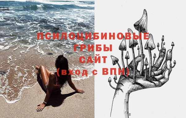 мдма Заводоуковск