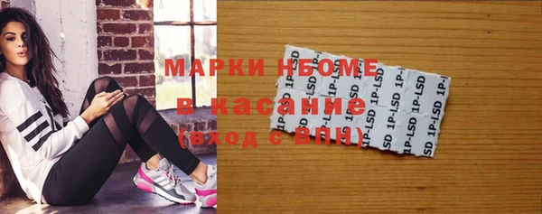 твердый Арсеньев